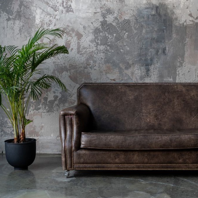 A sofa and a heavy plant on a polished concrete floor.